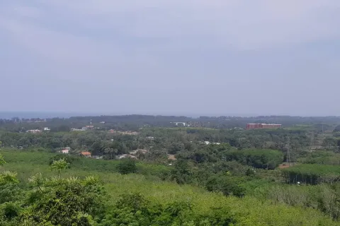 Grundstück in Mai Khao, Thailand 1600 m2 № 156128