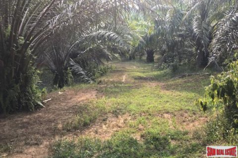 Terreno 67200 m2 en Phang Nga, Tailandia № 202967 - foto 4
