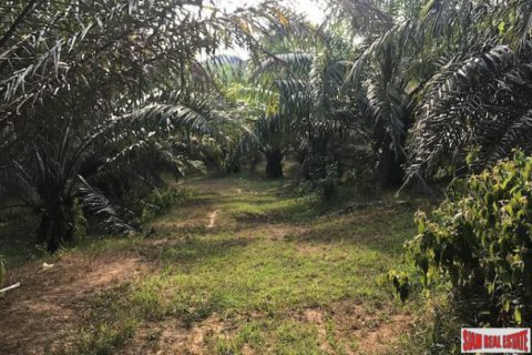Terreno 67200 m2 en Phang Nga, Tailandia № 202967 - foto 5