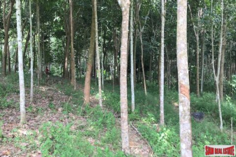 Terreno 96000 m2 en Phang Nga, Tailandia № 202963 - foto 3
