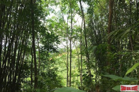 Terreno 96000 m2 en Phang Nga, Tailandia № 202963 - foto 5