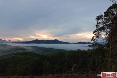 Terreno 96000 m2 en Phang Nga, Tailandia № 202963