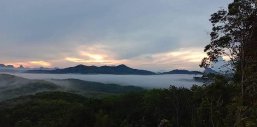 Terreno 96000 m2 en Phang Nga, Tailandia № 202963