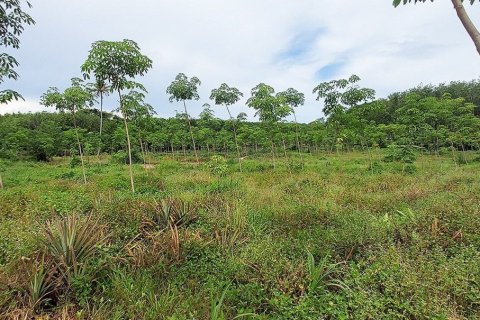 Terrain à Rayong, Thaïlande 80000000 m2 № 173323