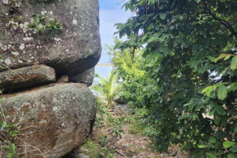 Grundstück in Surat Thani, Thailand № 152601 - Foto 7