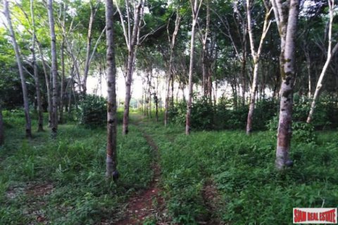 Terreno 20800 m2 en Phang Nga, Tailandia № 202930 - foto 5