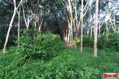 Terreno 20800 m2 en Phang Nga, Tailandia № 202930 - foto 4