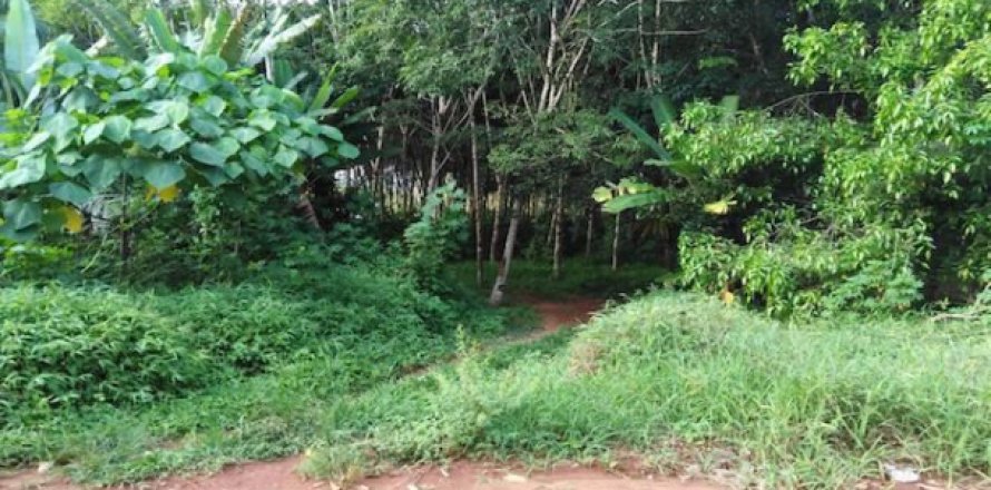 Terreno 20800 m2 en Phang Nga, Tailandia № 202930