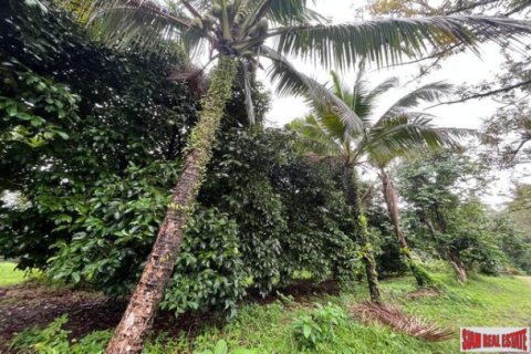 Terreno en Phang Nga, Tailandia № 203325 - foto 3