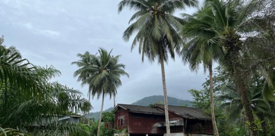 Terreno en Phang Nga, Tailandia № 203325