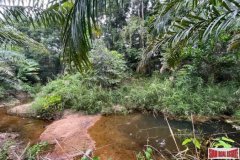 Terreno en Phang Nga, Tailandia № 203325 - foto 5