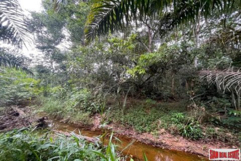 Terreno en Phang Nga, Tailandia № 203325 - foto 4