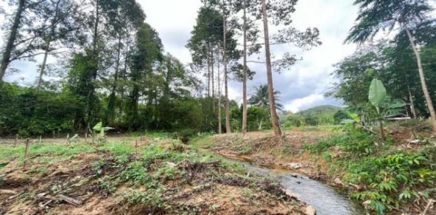 Terreno en Phang Nga, Tailandia № 203326