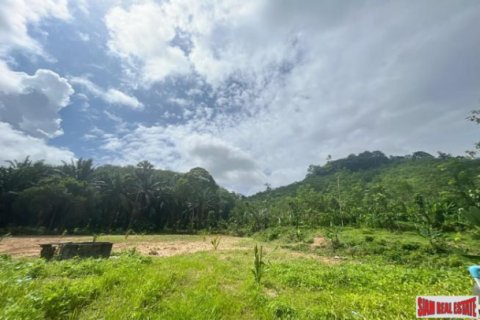 Terreno en Phang Nga, Tailandia № 203326 - foto 3