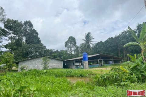 Terreno en Phang Nga, Tailandia № 203326 - foto 4