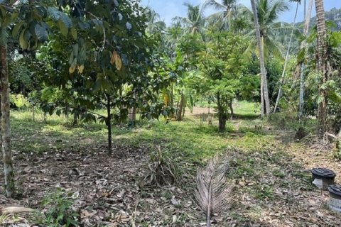 Grundstück in Ko Samui, Thailand 1880 m2 № 180185 - Foto 3