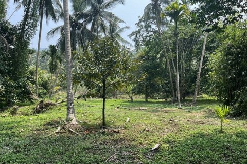 Grundstück in Ko Samui, Thailand 1880 m2 № 180185