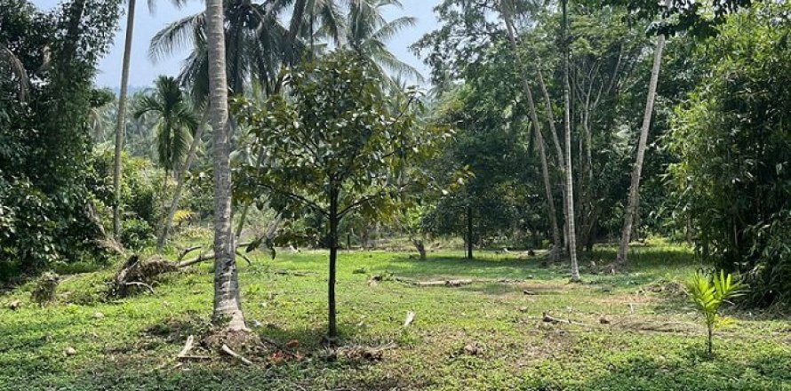 Grundstück in Ko Samui, Thailand 1880 m2 № 180185