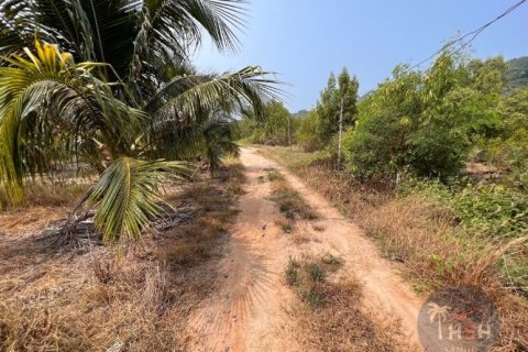 Grundstück in Ko Samui, Thailand 2047.2 m2 № 180183