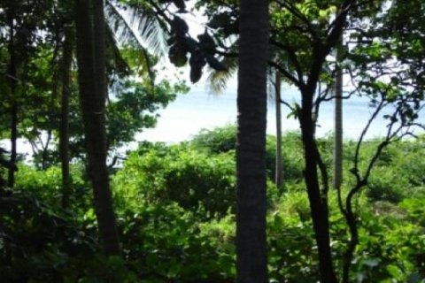 Terreno 32000 m2 en Ko Lanta Yai, Tailandia № 202434 - foto 4