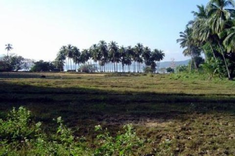 Terreno 32000 m2 en Phang Nga, Tailandia № 202432 - foto 4