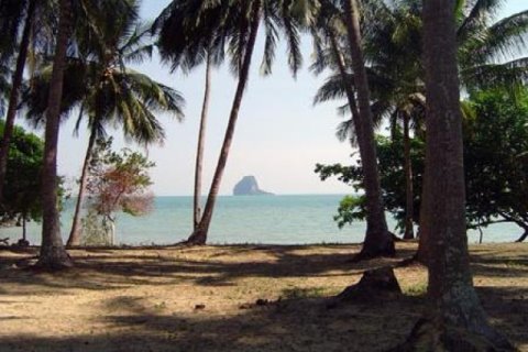 Terreno 32000 m2 en Phang Nga, Tailandia № 202432 - foto 5