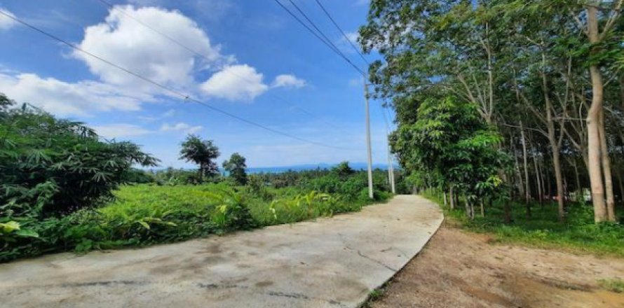 Terrain à Krabi, Thaïlande 3193.6 m2 № 194033