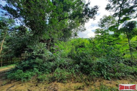 Terrain à Krabi, Thaïlande 3193.6 m2 № 194033 - photo 4