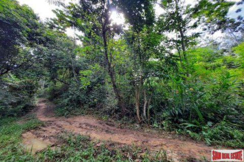 Terrain à Krabi, Thaïlande 3193.6 m2 № 194033 - photo 5