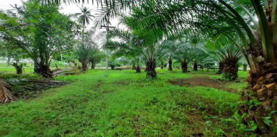 Terreno 3200 m2 en Krabi, Tailandia № 194034