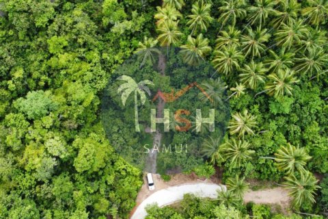 Terreno en Ko Samui, Tailandia № 180234 - foto 6