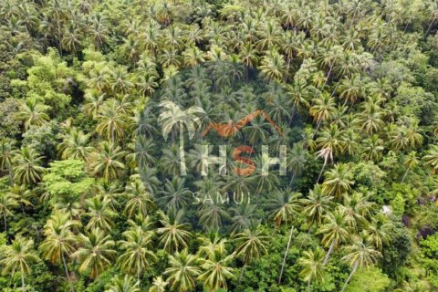 Terreno en Ko Samui, Tailandia № 180234 - foto 4