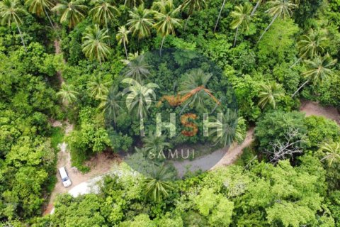 Terreno en Ko Samui, Tailandia № 180234 - foto 5