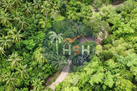 Terreno en Ko Samui, Tailandia № 180234 - foto 9