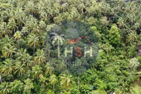 Terreno en Ko Samui, Tailandia № 180234 - foto 7