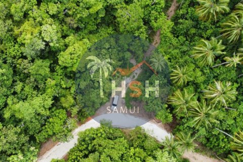 Terreno en Ko Samui, Tailandia № 180234 - foto 8