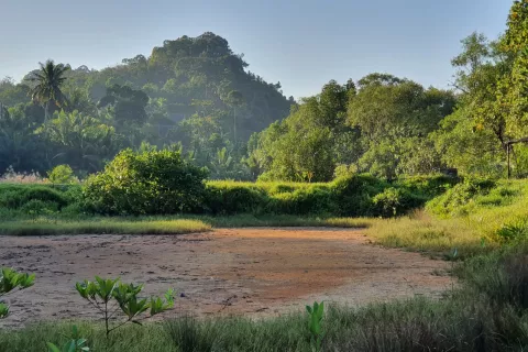 Land in Ao Luek, Thailand 10000 sq.m. № 139217 - photo 13