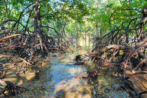 Land in Ao Luek, Thailand 10000 sq.m. № 139217 - photo 11