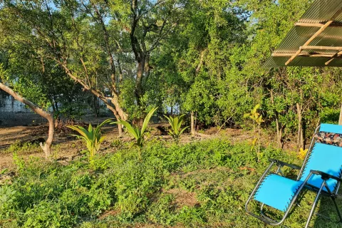 Land in Ao Luek, Thailand 10000 sq.m. № 139217 - photo 14