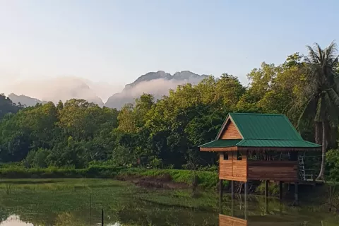 Land in Ao Luek, Thailand 10000 sq.m. № 139217 - photo 2