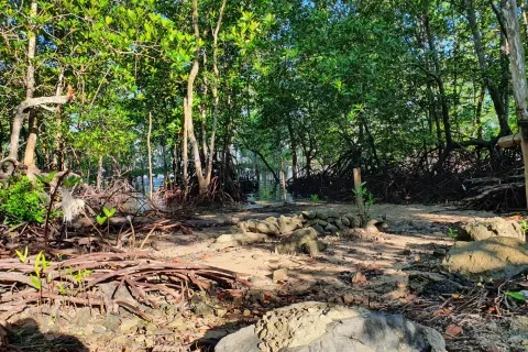 Land in Ao Luek, Thailand 10000 sq.m. № 139217 - photo 9
