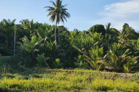 Land in Ao Luek, Thailand 10000 sq.m. № 139217 - photo 10