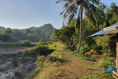Land in Ao Luek, Thailand 10000 sq.m. № 139217 - photo 8