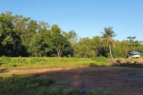 Land in Ao Luek, Thailand 10000 sq.m. № 139217 - photo 17