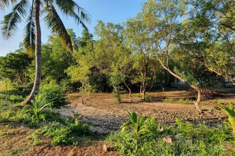 Land in Ao Luek, Thailand 10000 sq.m. № 139217 - photo 16