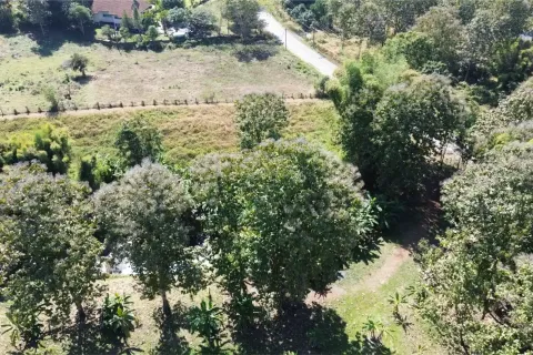 Terreno en Chiang Mai, Tailandia № 162752 - foto 3
