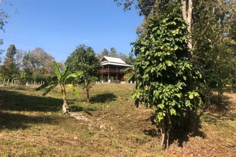 Terreno en Chiang Mai, Tailandia № 162752 - foto 7