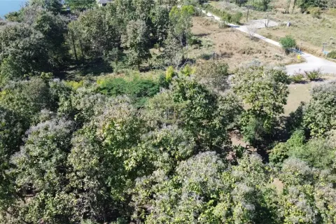 Terreno en Chiang Mai, Tailandia № 162752 - foto 8