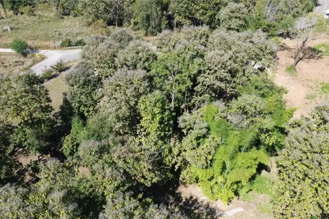 Terreno en Chiang Mai, Tailandia № 162752 - foto 9