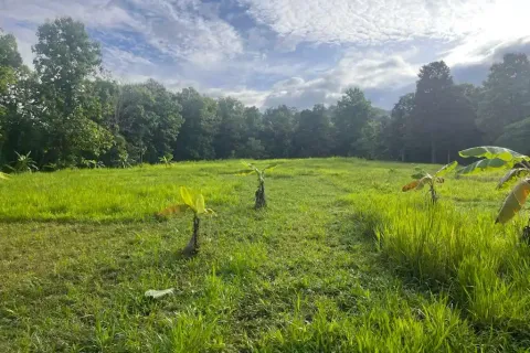 Terreno en Chiang Mai, Tailandia № 162752 - foto 5